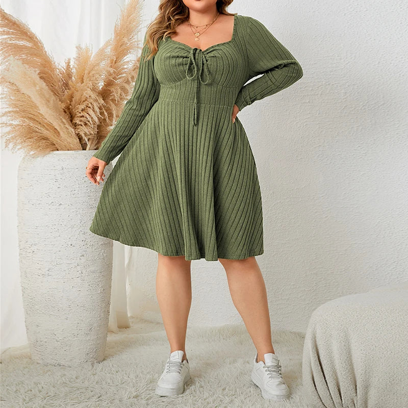 Plus Size Knit A-Line Dress