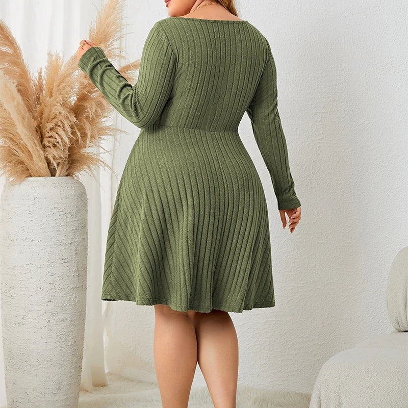 Plus Size Knit A-Line Dress