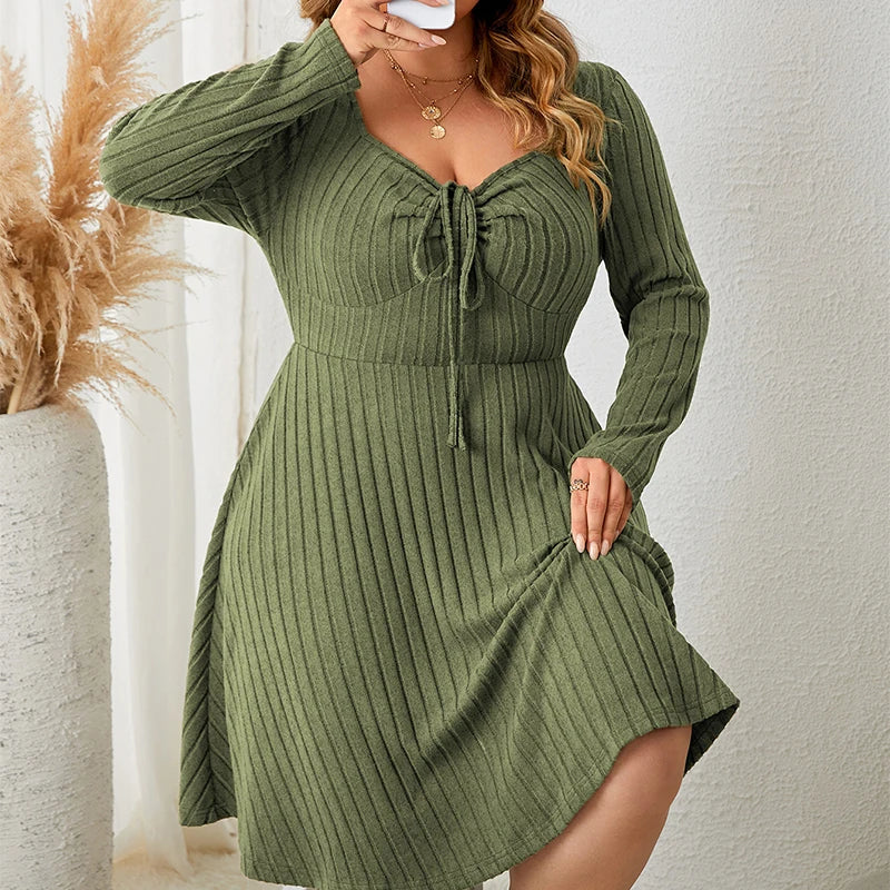Plus Size Knit A-Line Dress